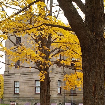 加拿大留學(xué)